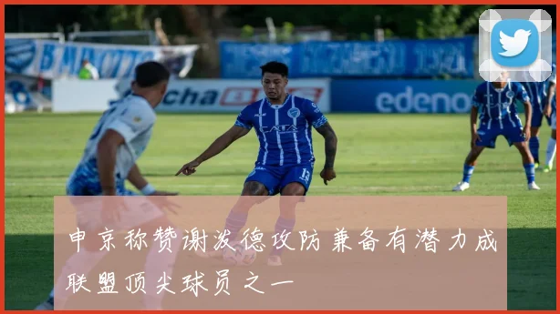 申京称赞谢泼德攻防兼备有潜力成联盟顶尖球员之一
